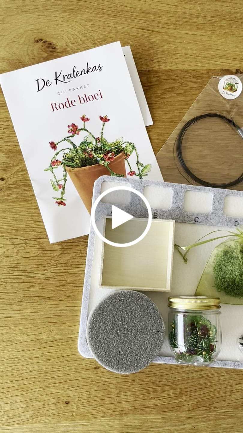 Customer video review of Maak thuis je eigen kralenplant - Rode Bloei