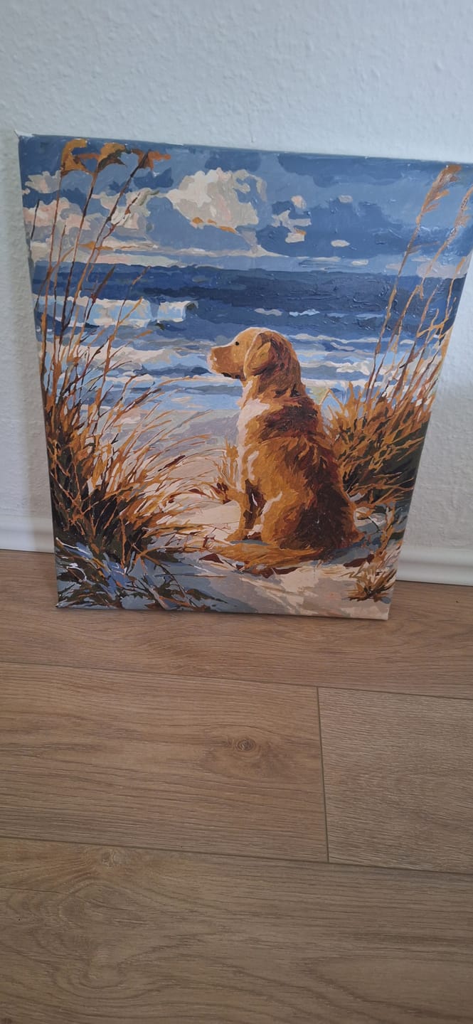 Customer photo review of Malen nach Zahlen - Wartender Labrador