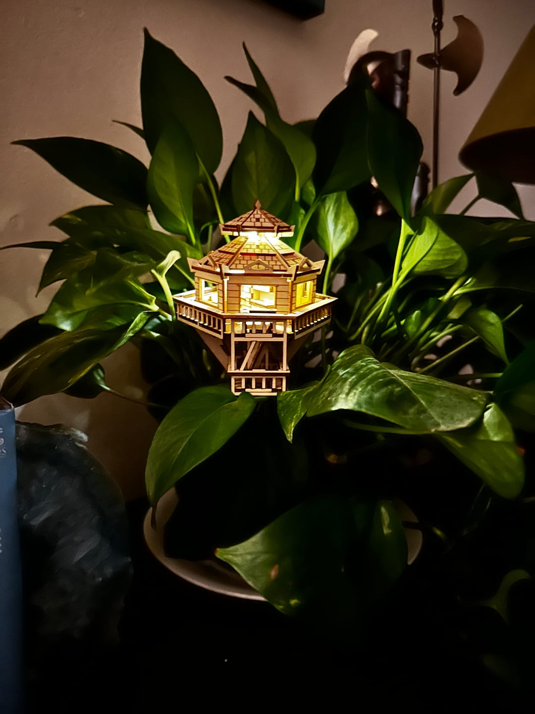 Customer photo review of Woodland Outpost