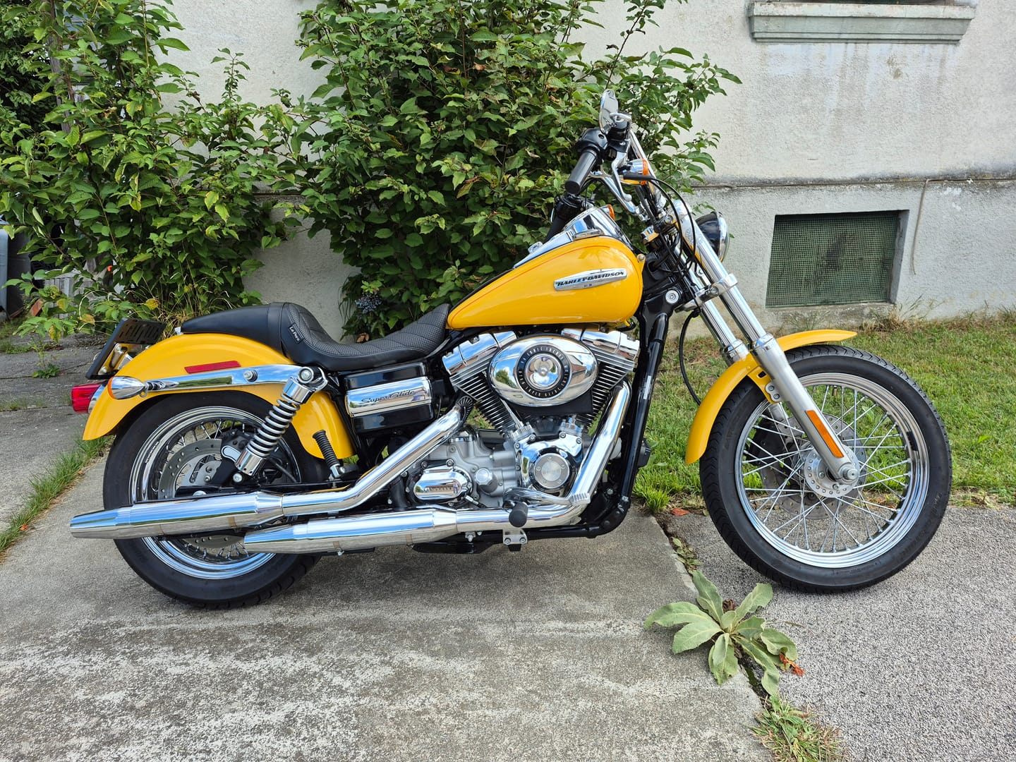 Customer photo review of Daytona Sport für Dyna 06-17