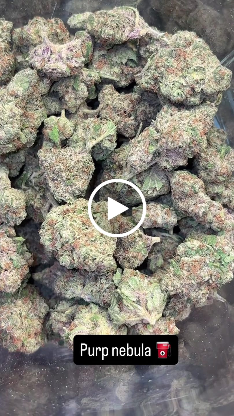 Customer video review of Purple Nebula (Light Assist) - THCA Flower