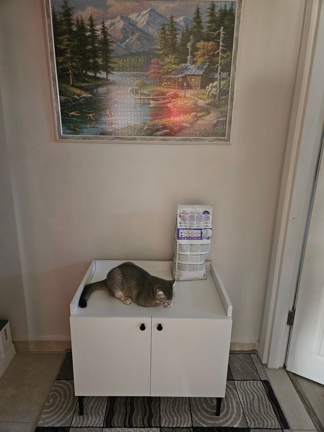 Customer photo review of Rani PA101 Kedi Mobilyası Çok Amaçlı Dolap Gizli Kedi Tuvalet Dolabı Kedi Evi Beyaz