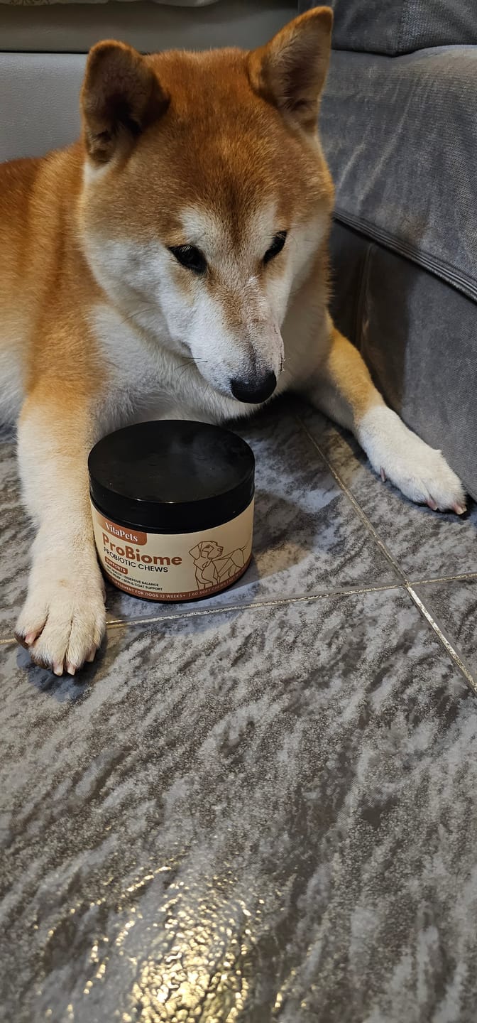 Customer photo review of ProBiome™狗狗益生菌軟粒