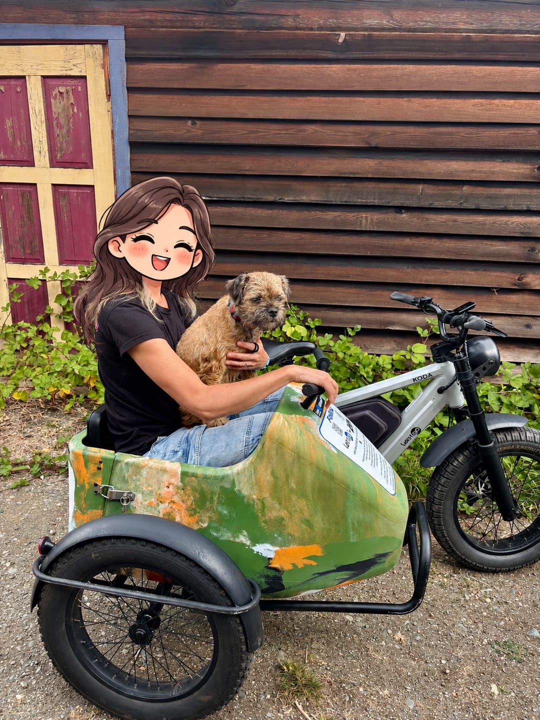 Customer photo review of KODA