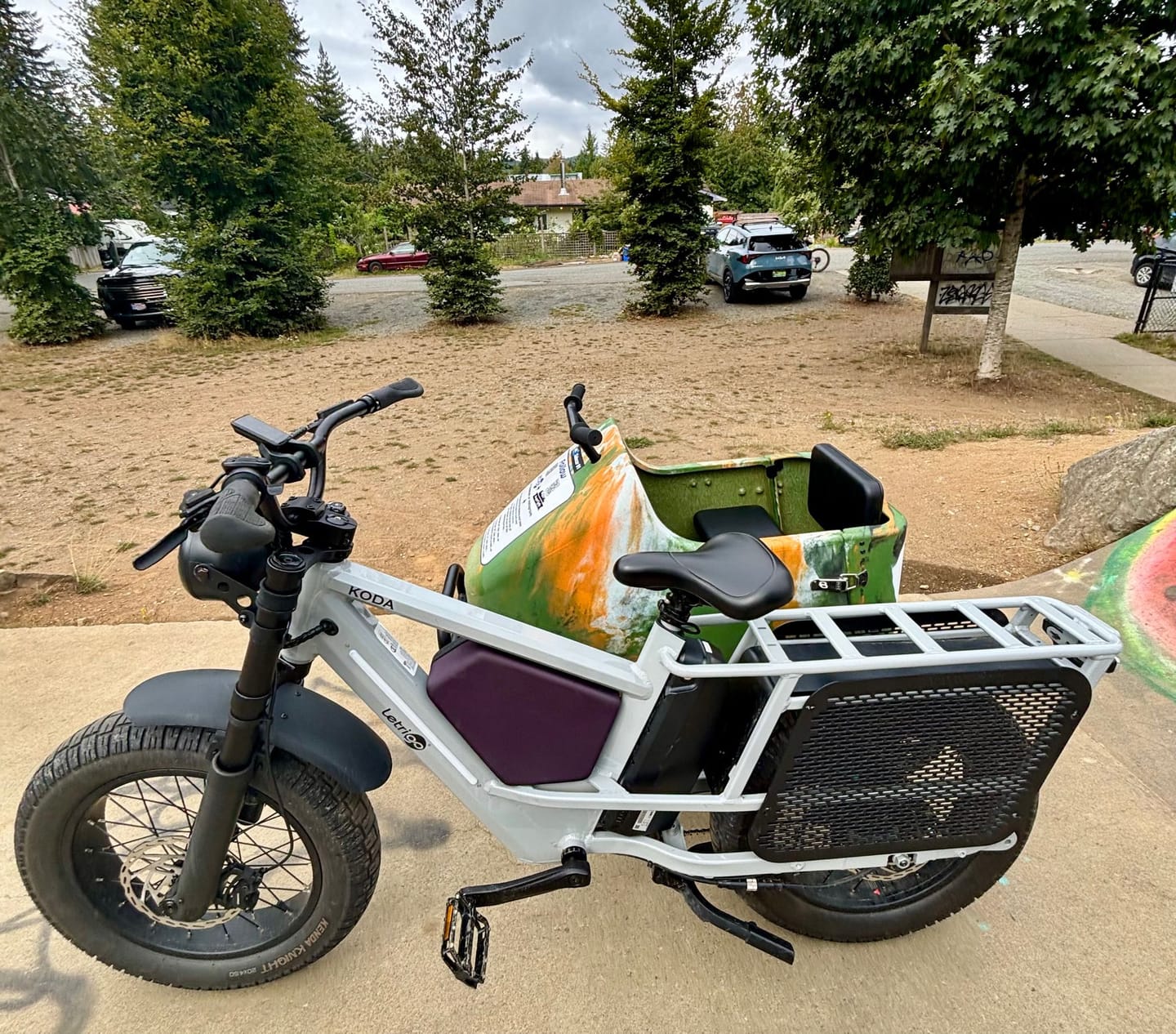 Customer photo review of KODA