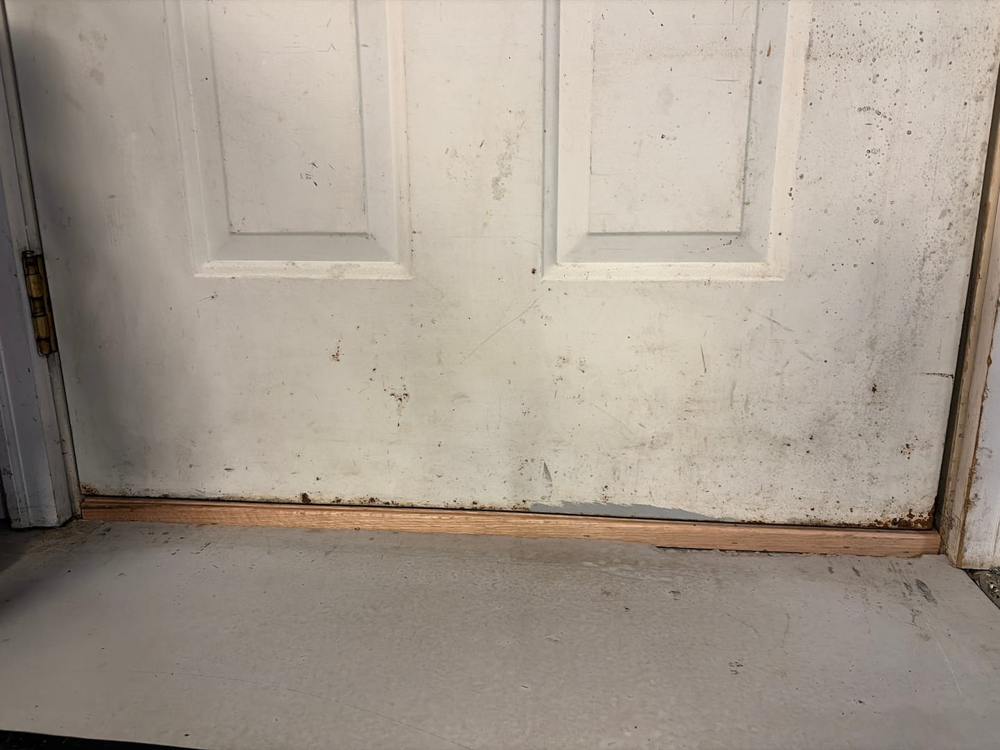Customer photo review of 36" x 8" Inswing Threshold