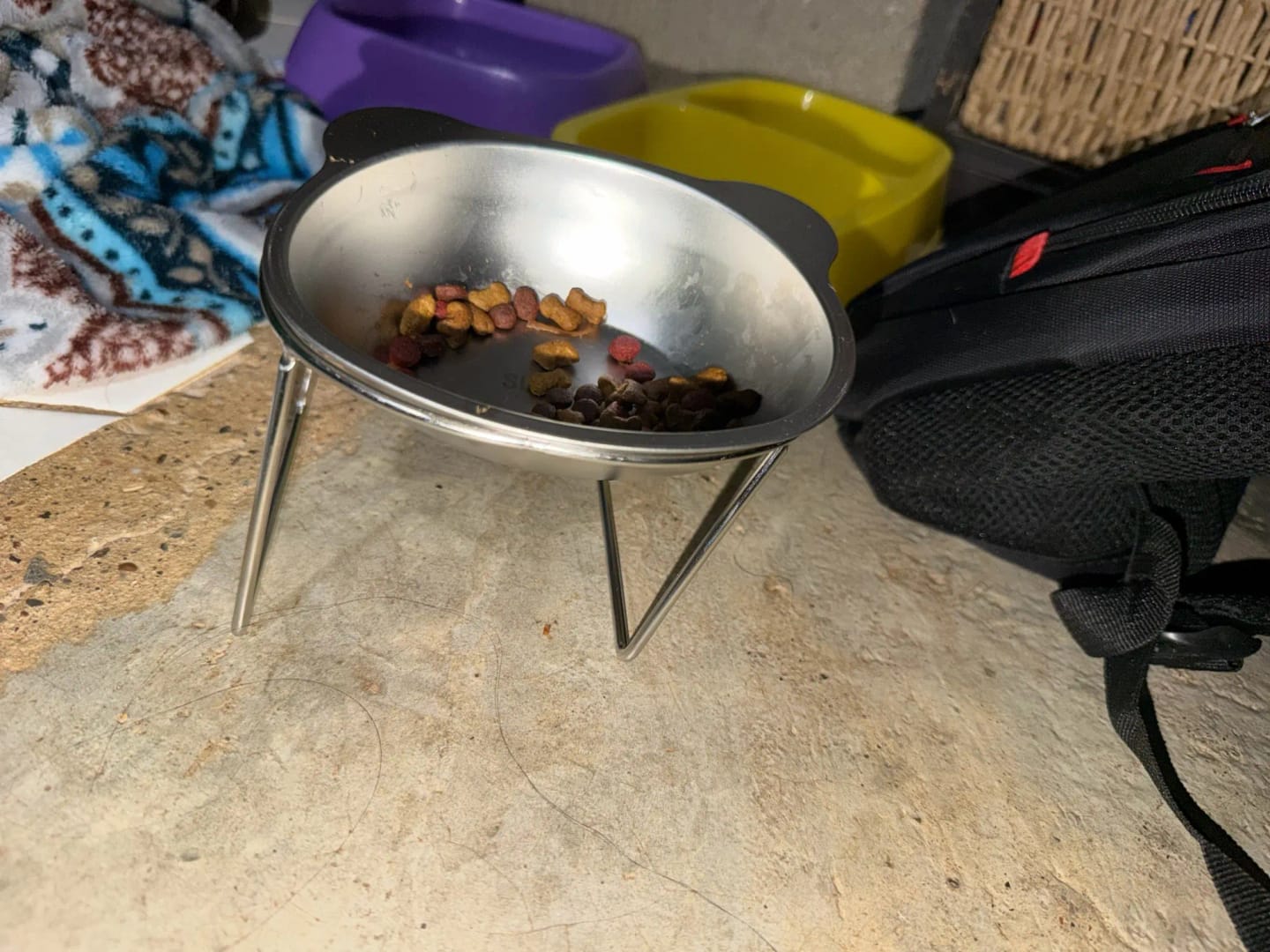 Customer photo review of Comedero ortopédico - Gato