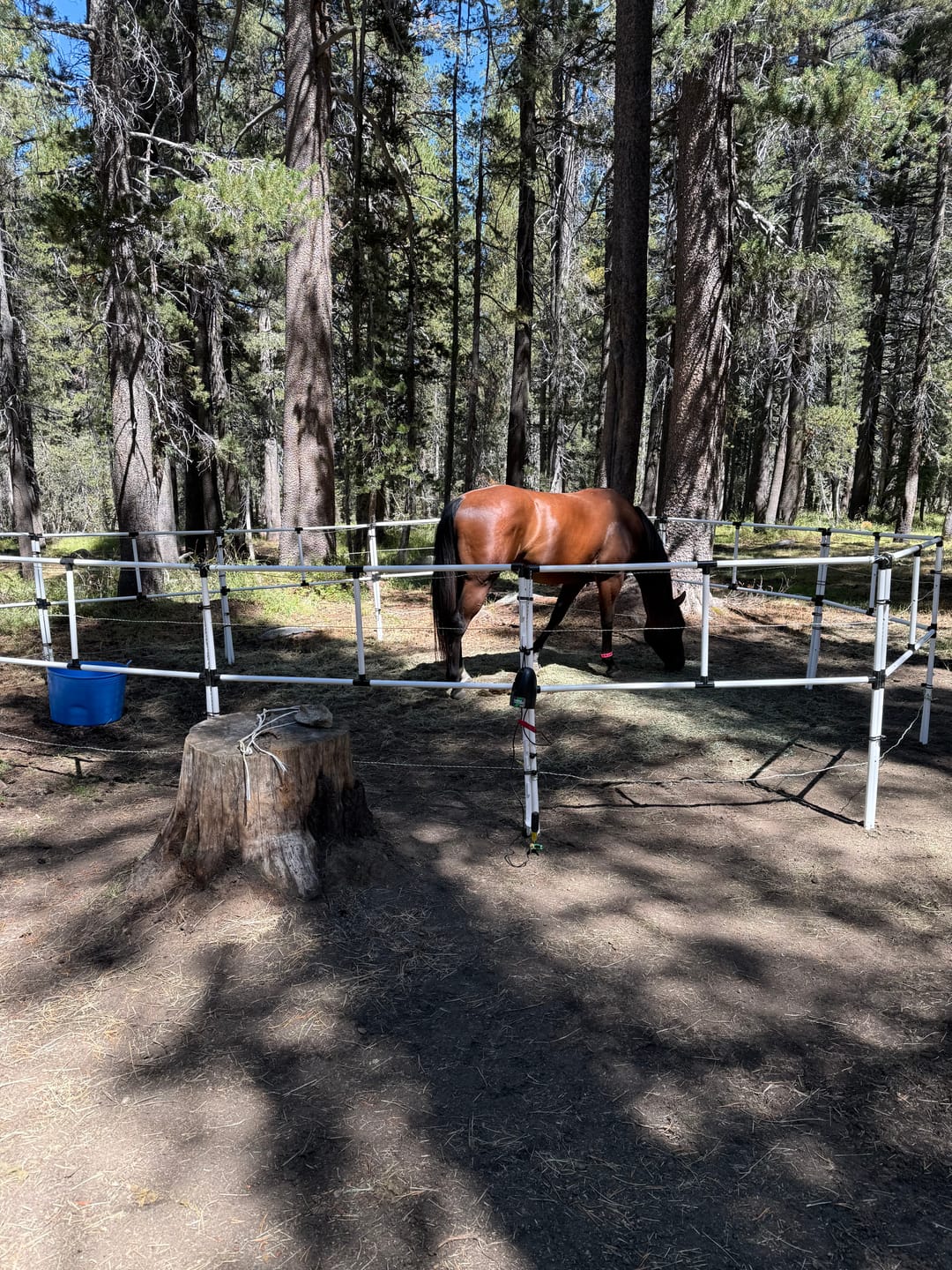 Customer photo review of BOGO Ready Made Portable Electric Horse Corral Fencing: (Electric EconoLine 8x2 = 16 Panels; 2 Rails)