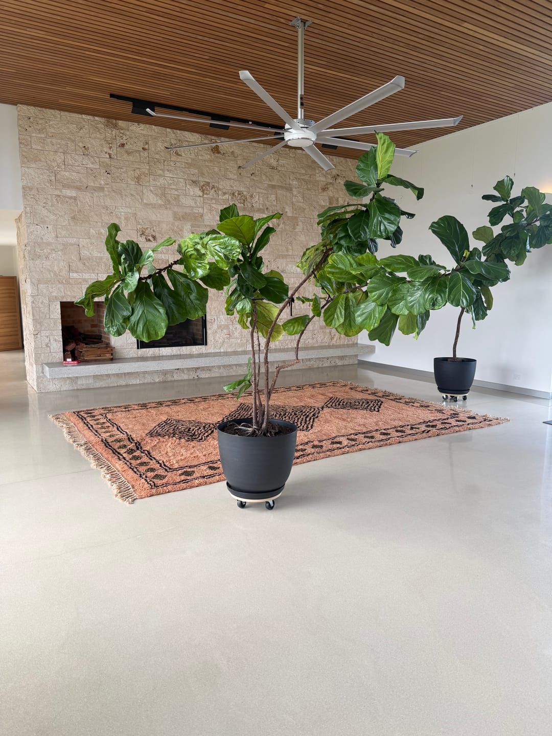 Customer photo review of Warda - Luxurious Beni Mrirt Moroccan Rug | Ultra Soft High-Pile Wool Carpet | Handmade Berber Rug | Custom-Rug (Made to Order)