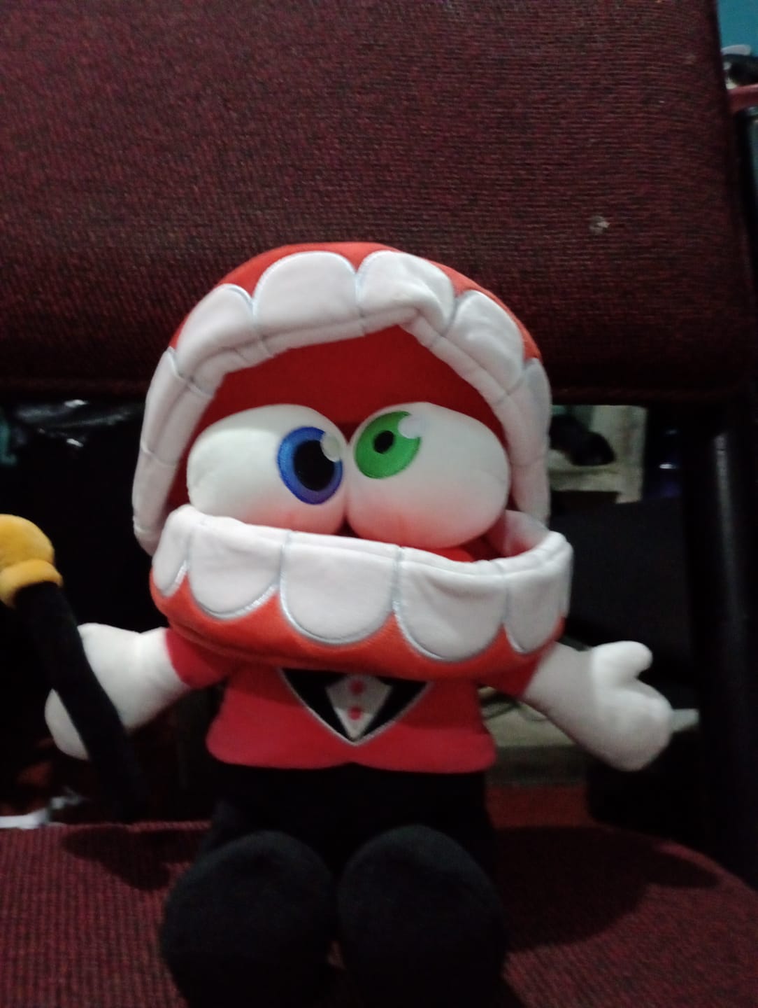 Customer photo review of Caine Plush