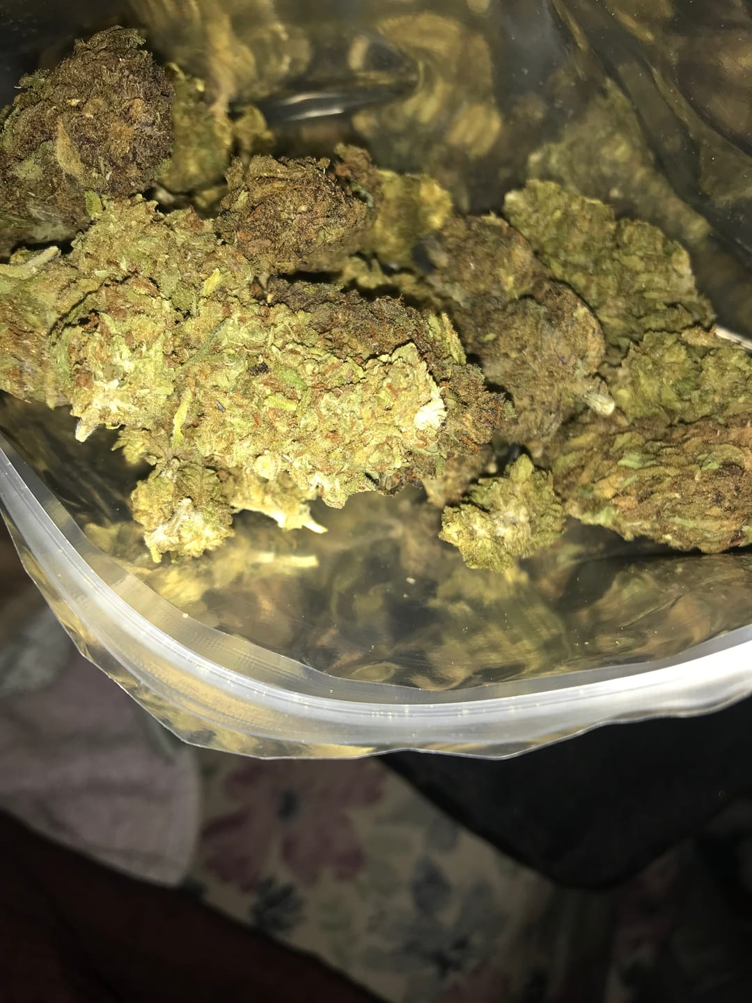 Customer photo review of Candy Gas THCA Flower