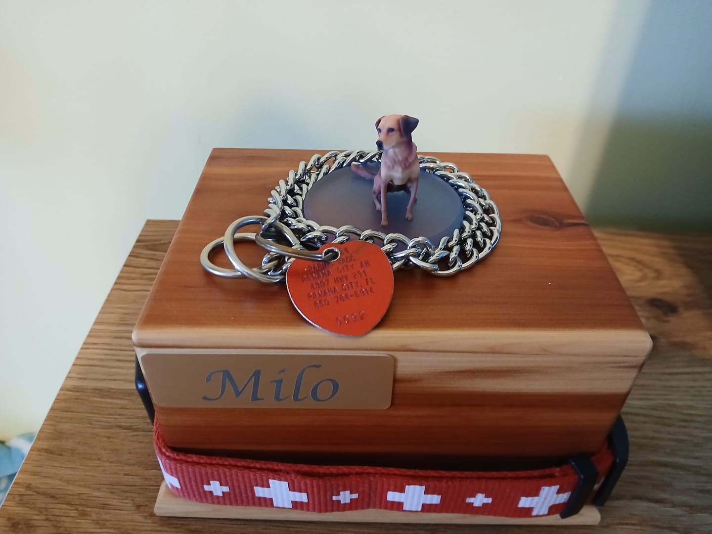 Customer photo review of Personalized Pet 3D Figurine from Photo