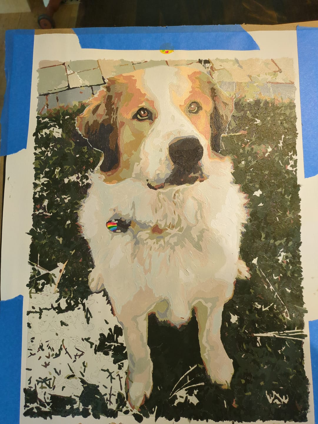 Customer photo review of Custom Paint By Numbers Kit | Just Upload Your Photo!