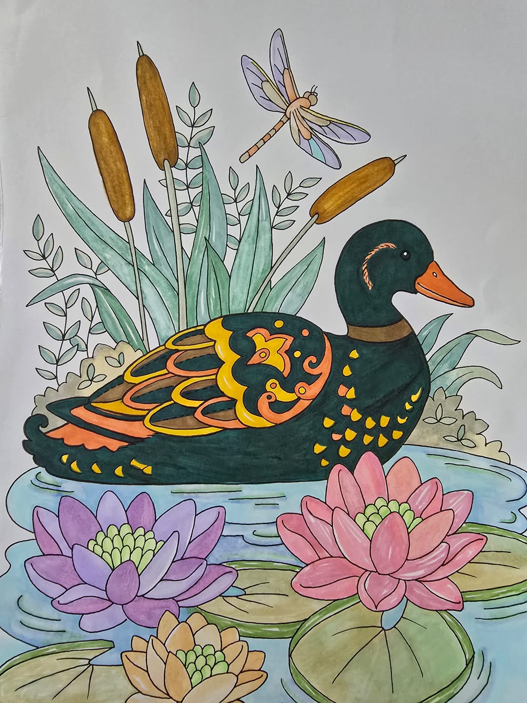 Customer photo review of Ohuhu Honolulu 48 Pastel Colors Dual Tips Alcohol Art Markers-Sweetness (New Color Codes)