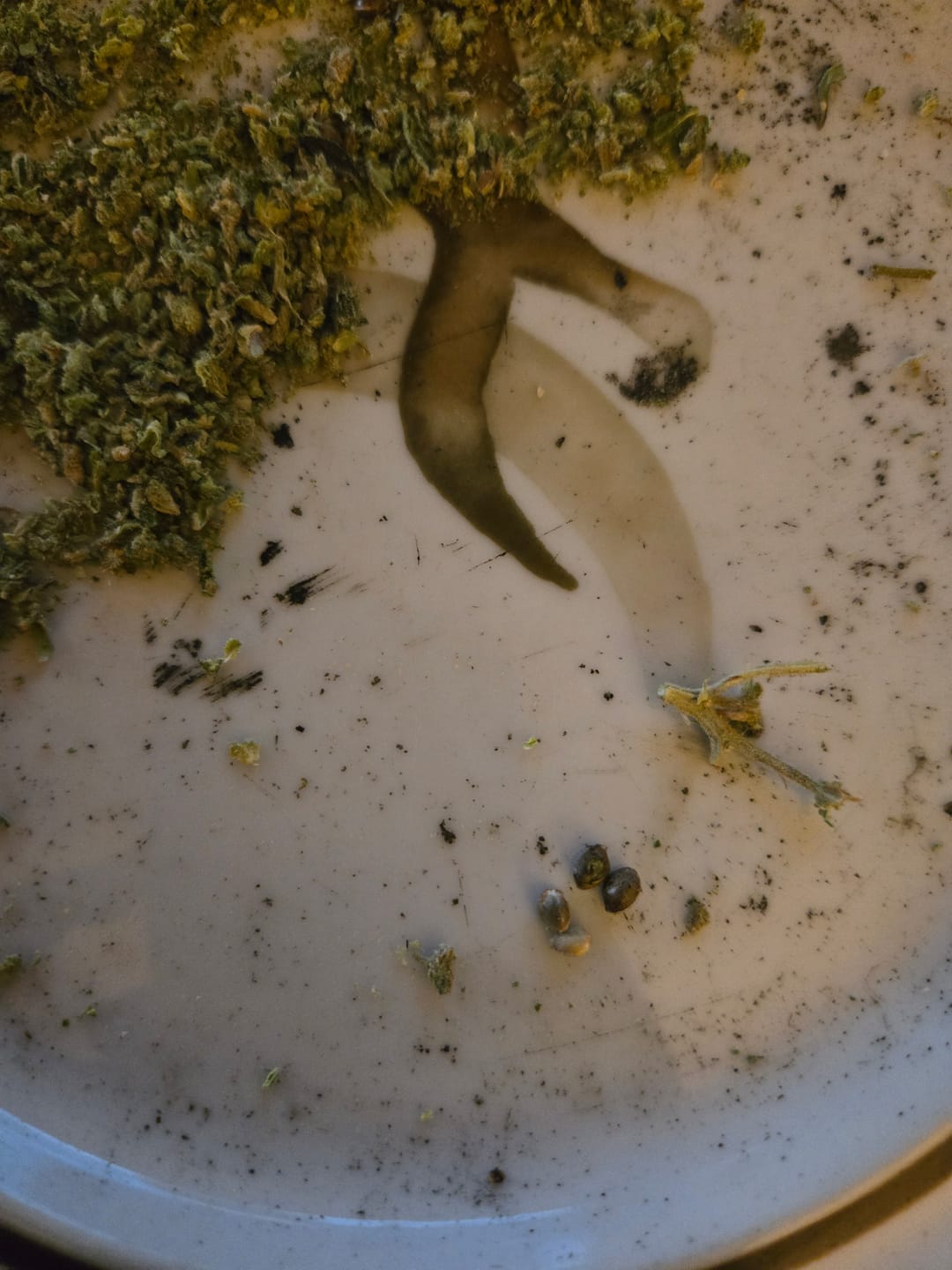 Customer photo review of GMO - 28 Grams - Indica