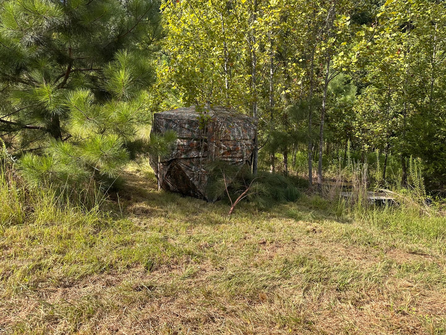 Customer photo review of VisTall 360 See-Through Ground Blind | 75-Inch 3 Person Pop Up Deer Blind with No-Trip Door | Portable Camo Hunting Blind with Blackout Curtain for Whitetail Deer Hunting