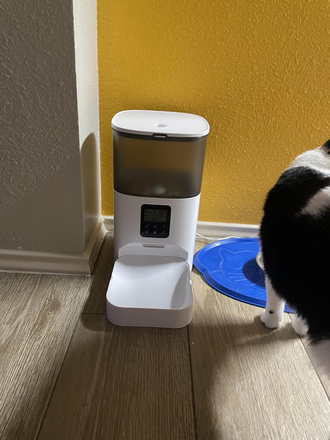 Customer photo review of Futterautomat mit Kamera VisionFeed