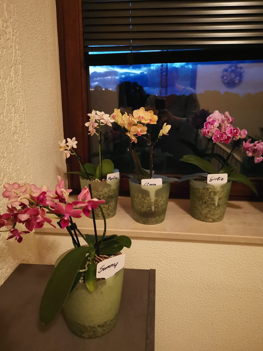 Customer photo review of Table Dance Diamond Girl mit pink getupften Blüten und 2 Rispen
