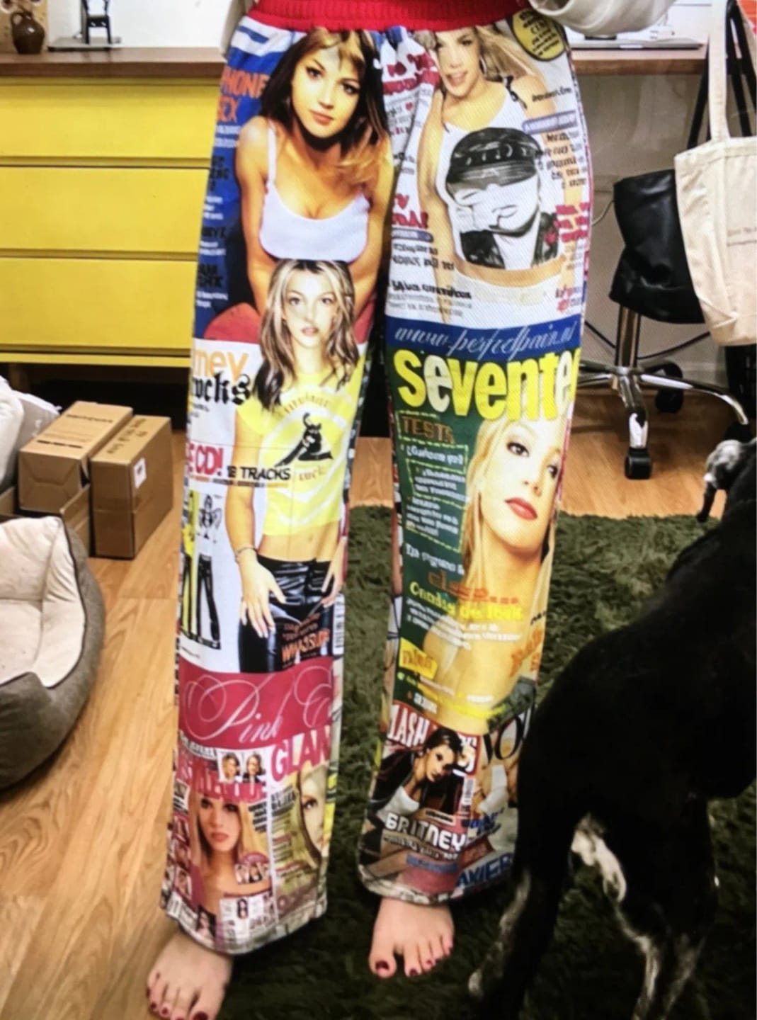 Customer photo review of Y2K Britney Wide Leg Pants