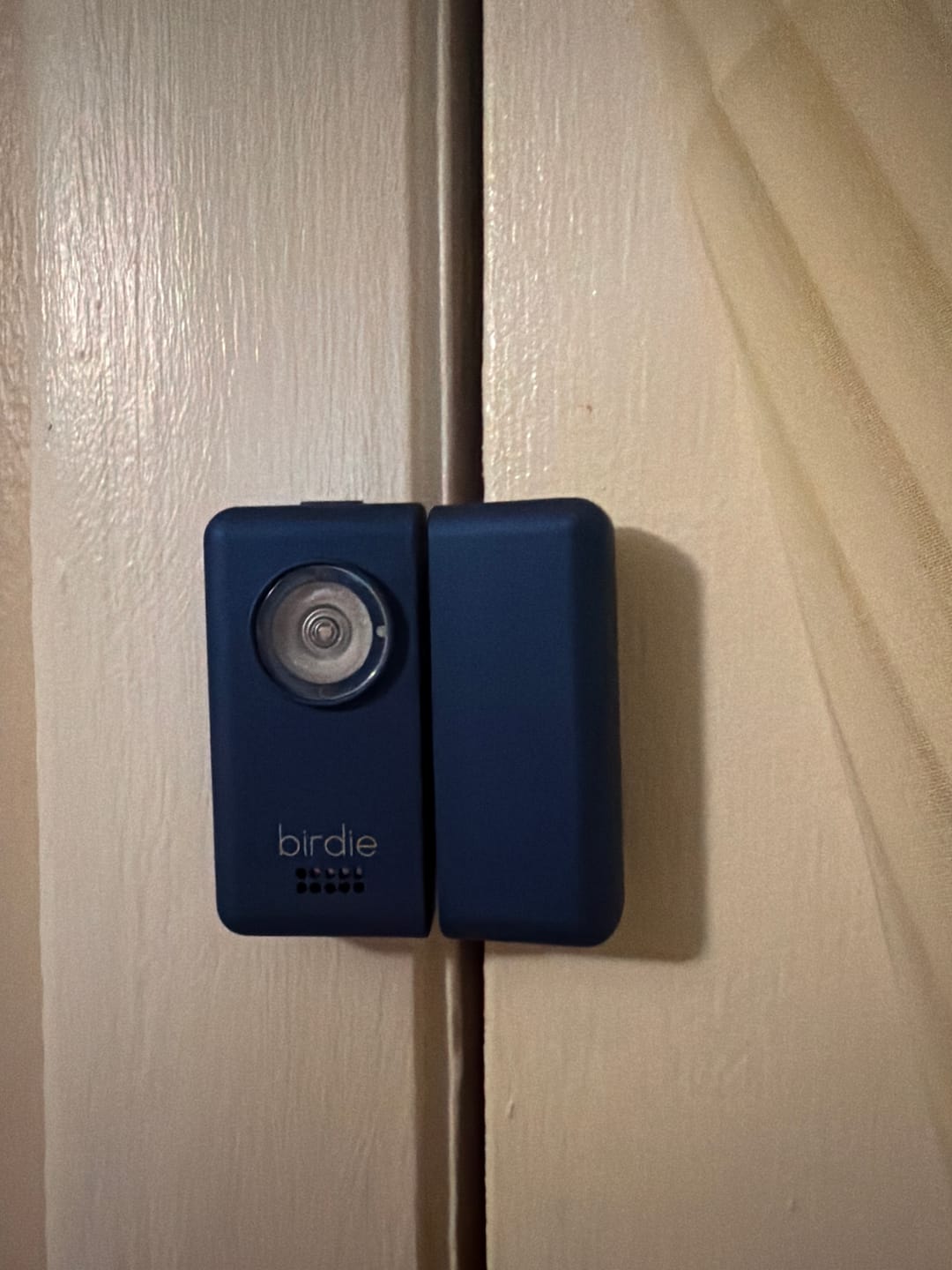 Customer photo review of Birdie Box