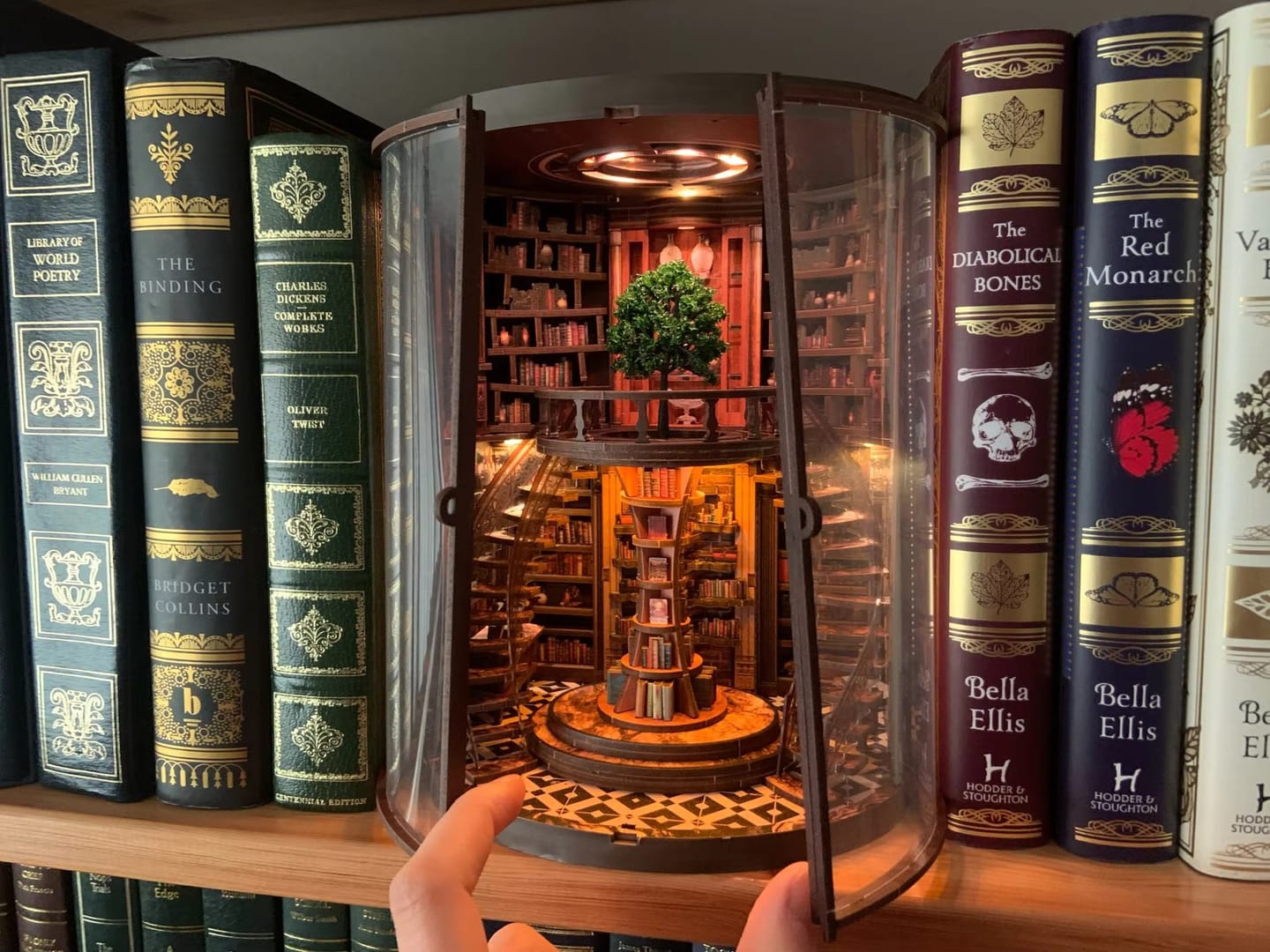Customer photo review of Wisdom Rings Library