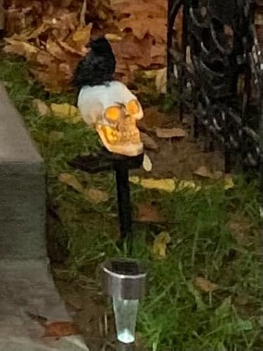 Customer photo review of Halloween Crow Skull Solar Light™