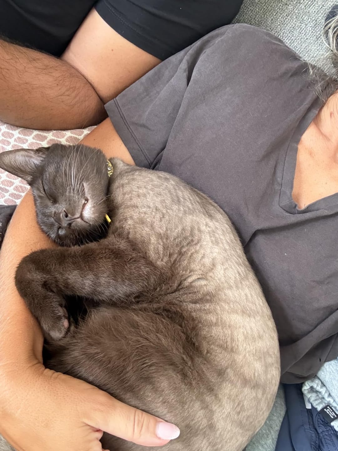 Customer photo review of Tierhaarschneider TrimEase