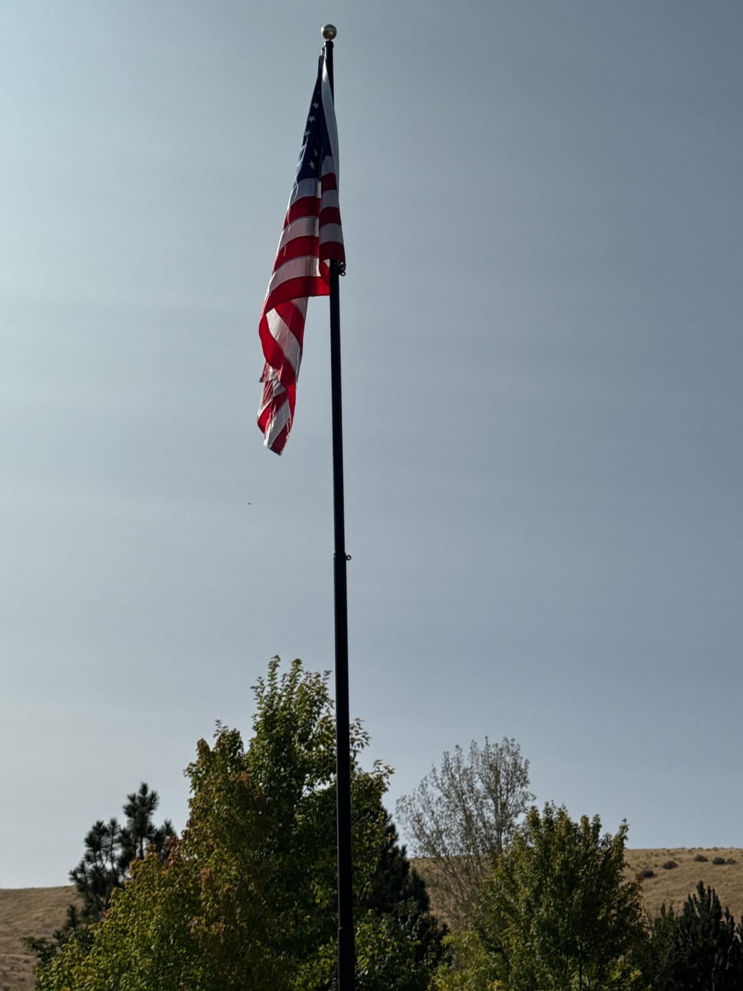 Customer photo review of 4' x 6' American Flag