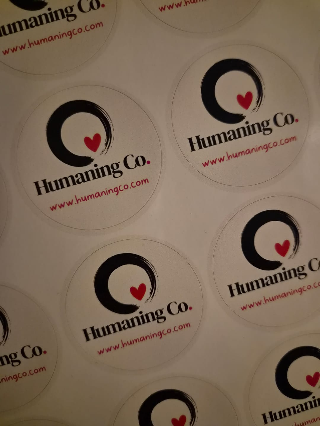 Customer photo review of Circle Sheet Labels