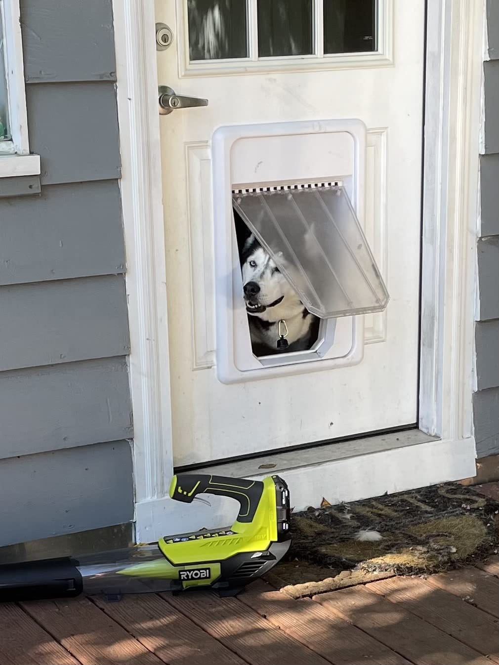Customer photo review of Elektronische Haustiertür SmartGate