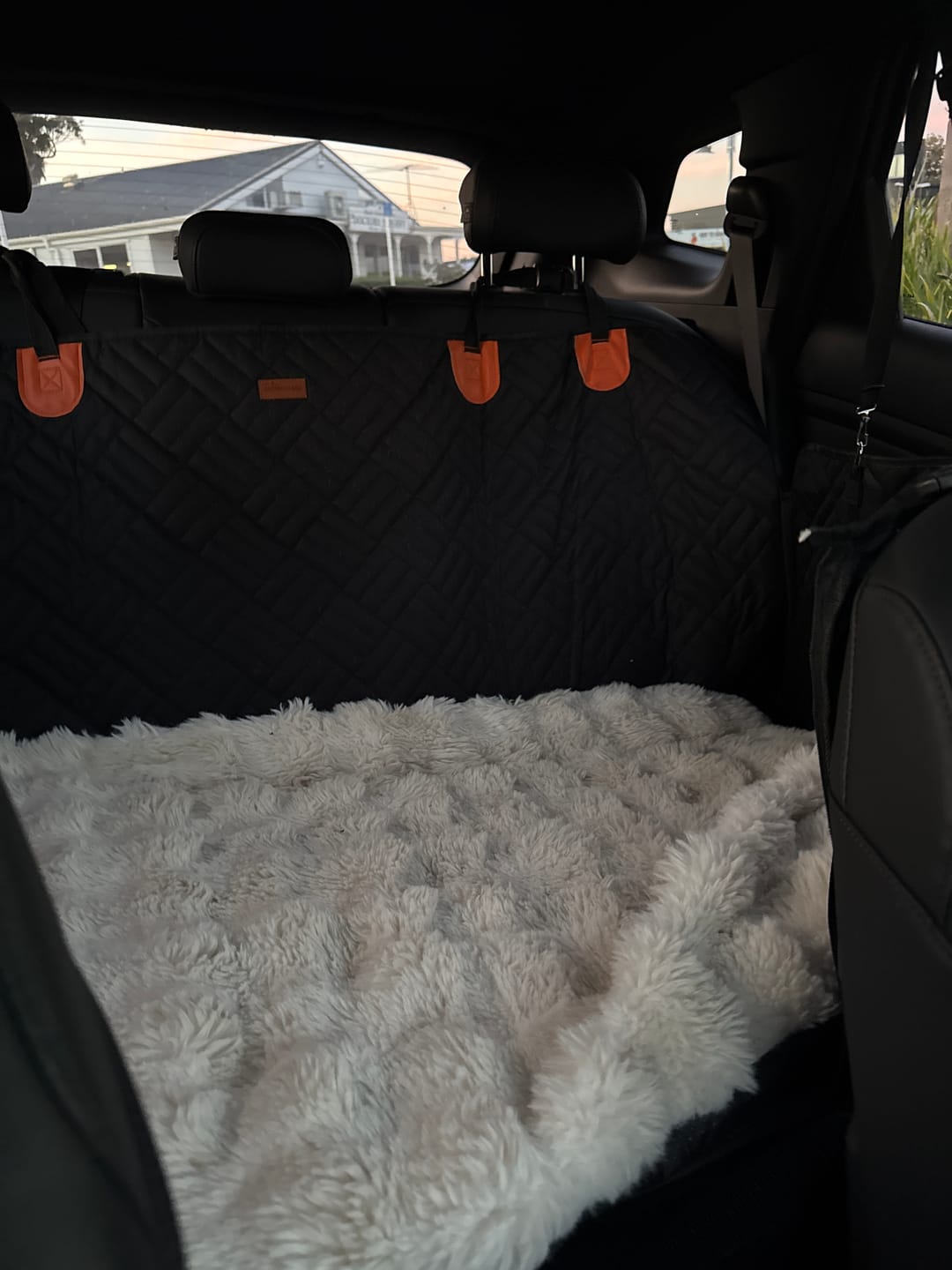 Customer photo review of Companion&Co™ Hard Bottom Car Seat Cover