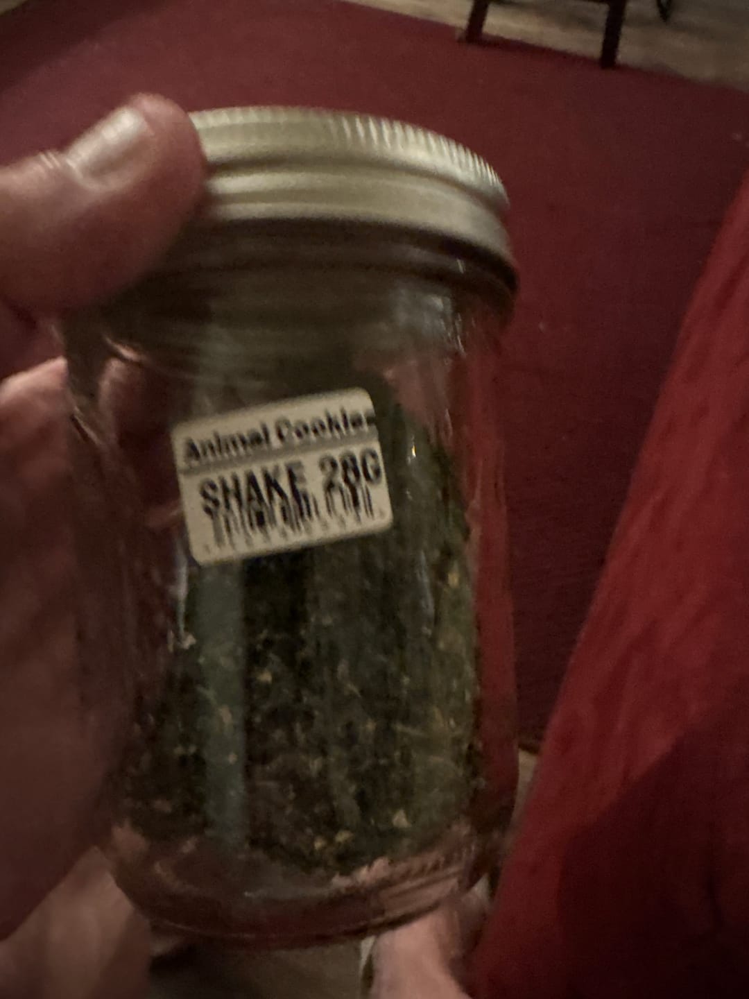 Customer photo review of 4 Ounce Shake Bundle