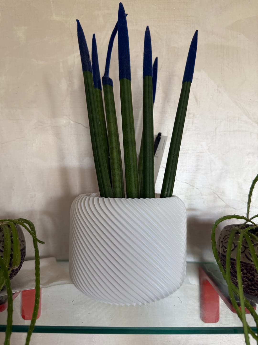 Customer photo review of Vaso Linea Spiral