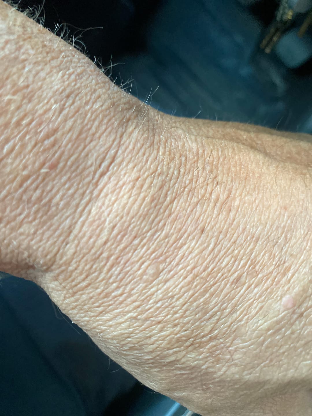 Customer photo review of The Monarch