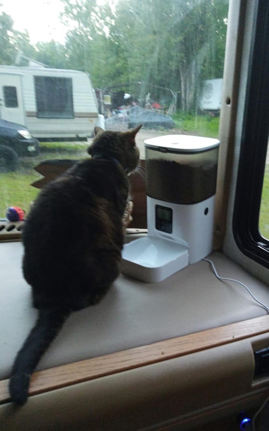 Customer photo review of Futterautomat FeedMate