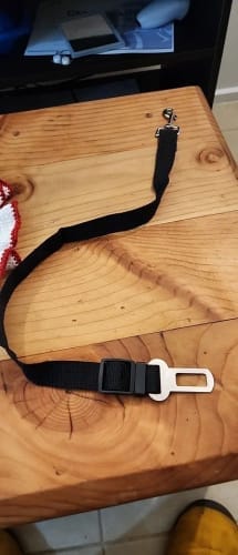 Customer photo review of Dog Safety Seat Belt