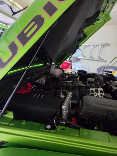 Customer photo review of Beefy Hydraulic Hood QuickLift for JL & JT