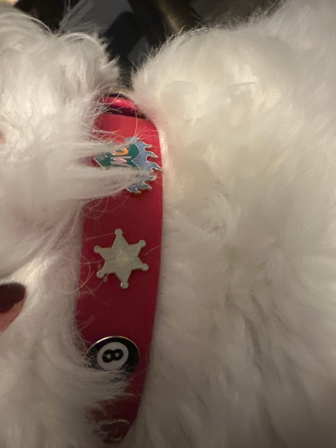 Customer photo review of Sheriff