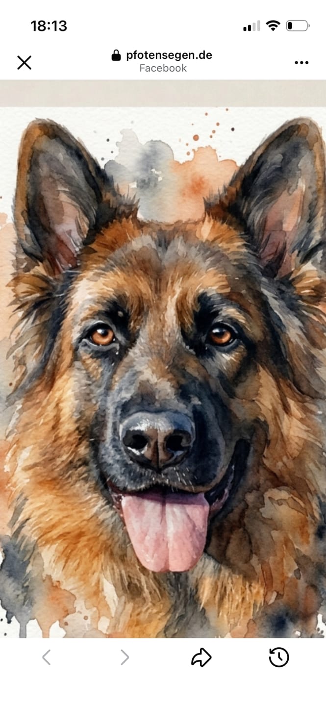 Customer photo review of Personalisiertes Hundeportrait Poster im Aquarell-Stil