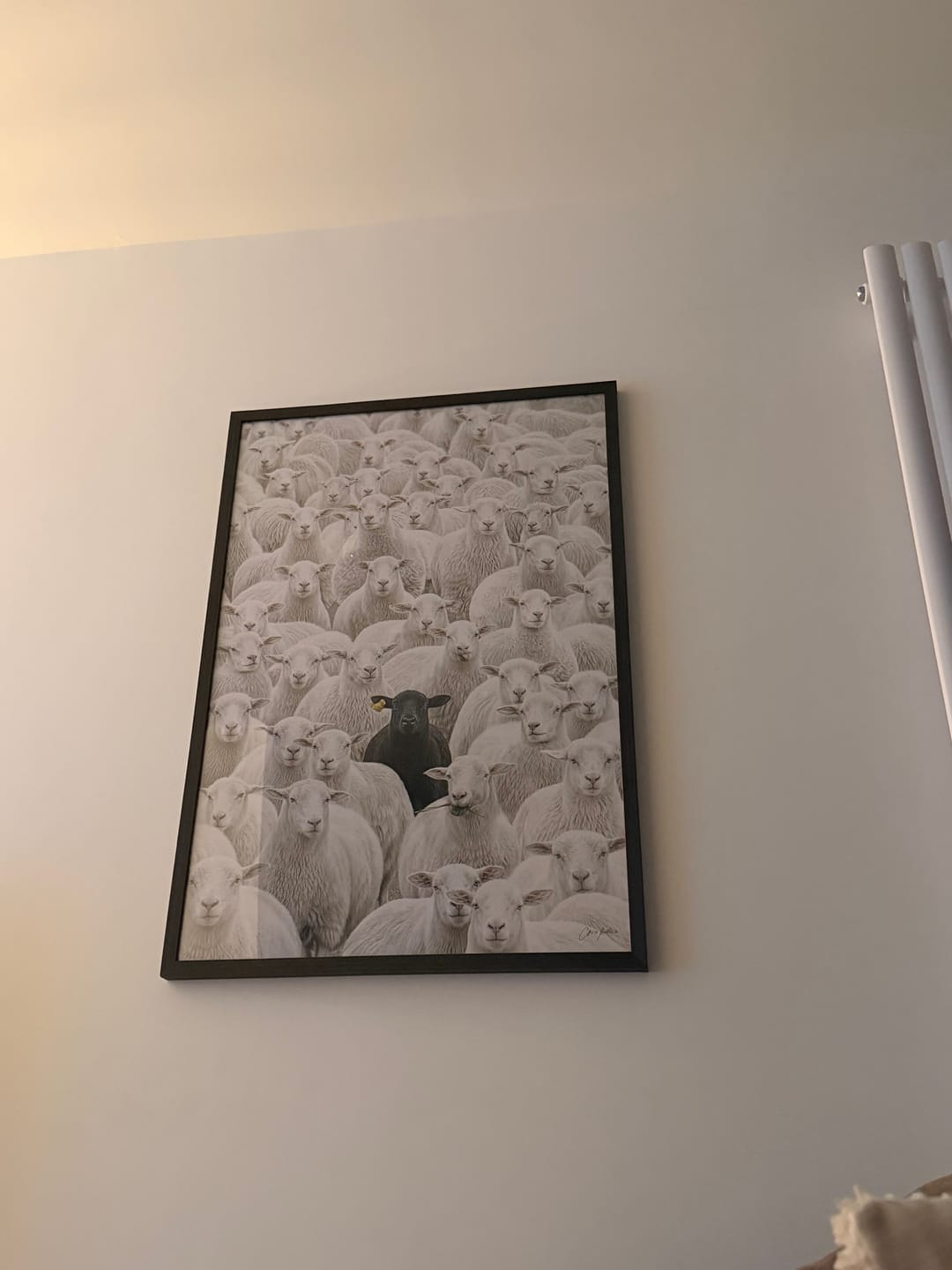 Customer photo review of Black Oak Gallery Frame