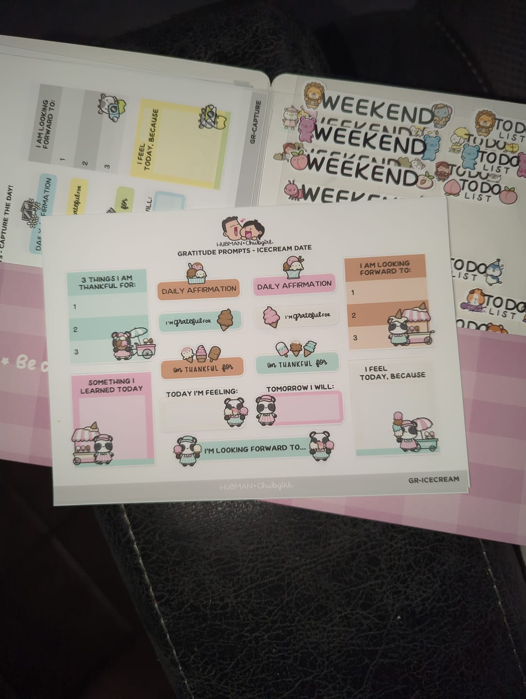 Customer photo review of Sticker Sheet - Gratitude Prompts Icecream Date Theme