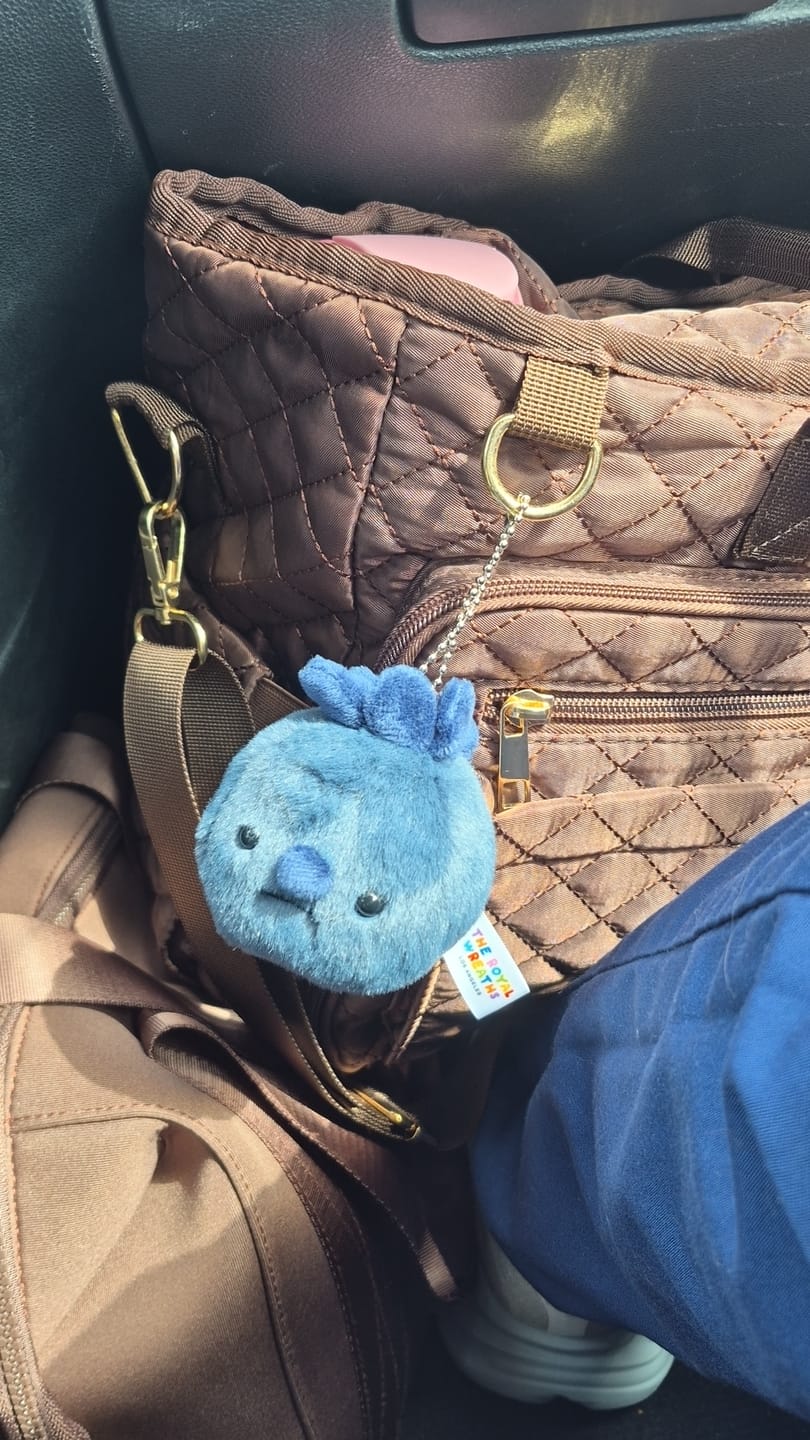 Customer photo review of Forgotten Single Blueberry