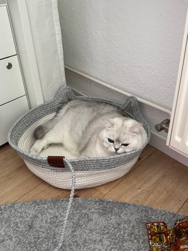 Kunden-Fellnest Katzenkorb in Grau und Weiß, in dem eine helle Katze gemütlich auf dem Boden liegt.