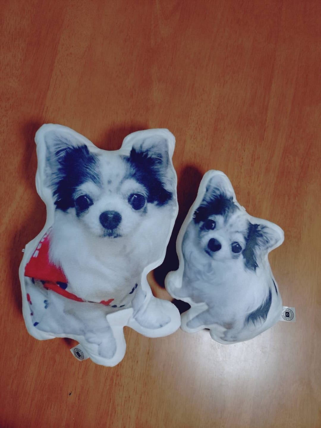 Customer photo review of 世界にひとつだけ♪好きな写真で作るオーダーメイドクッション（20～80cm）