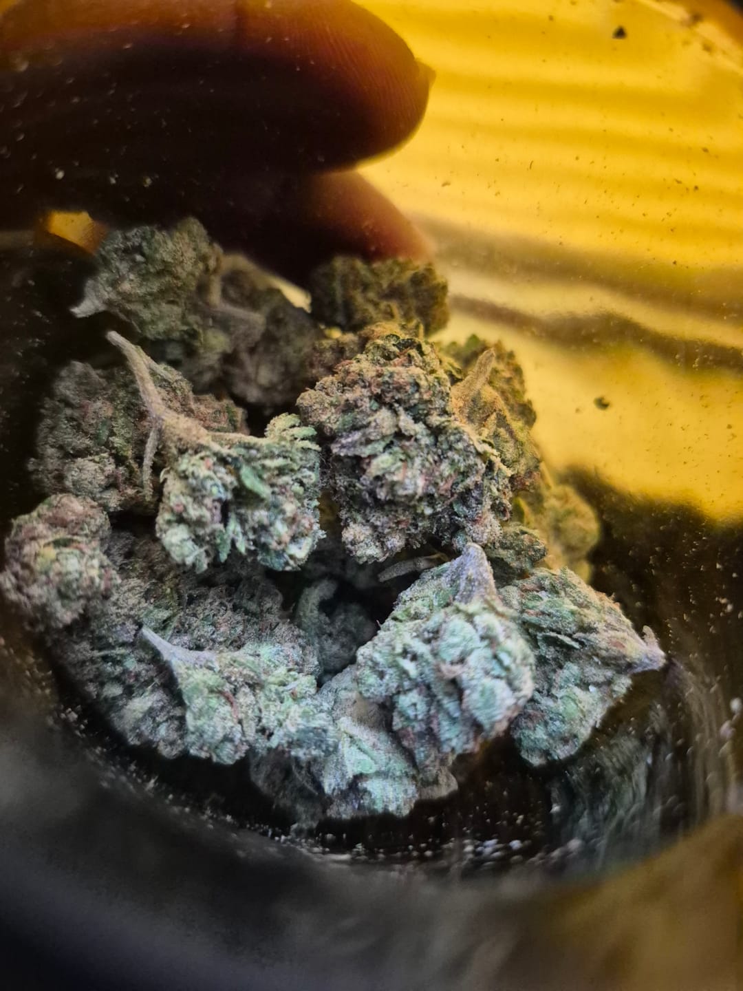 Customer photo review of Blue Sharpiez THCA Flower
