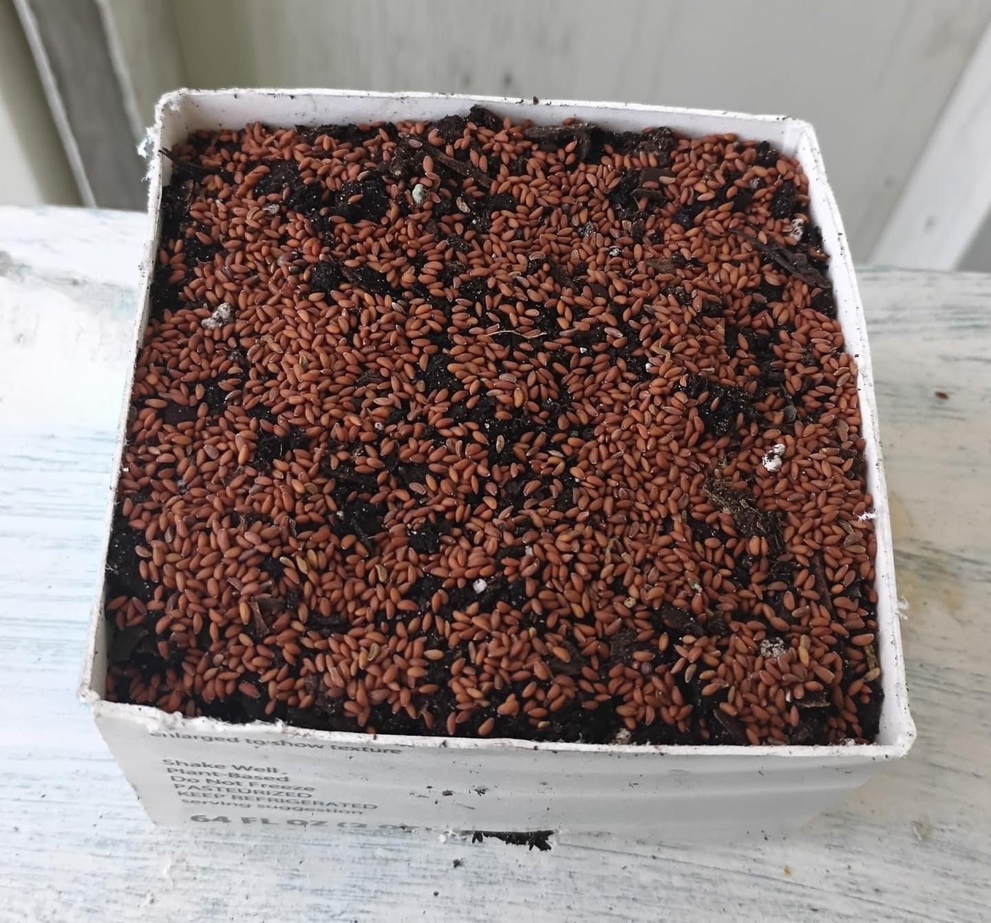 Customer photo review of Nutri Glow Garden Cress (Halim Seeds) – 250g | Ready to Eat