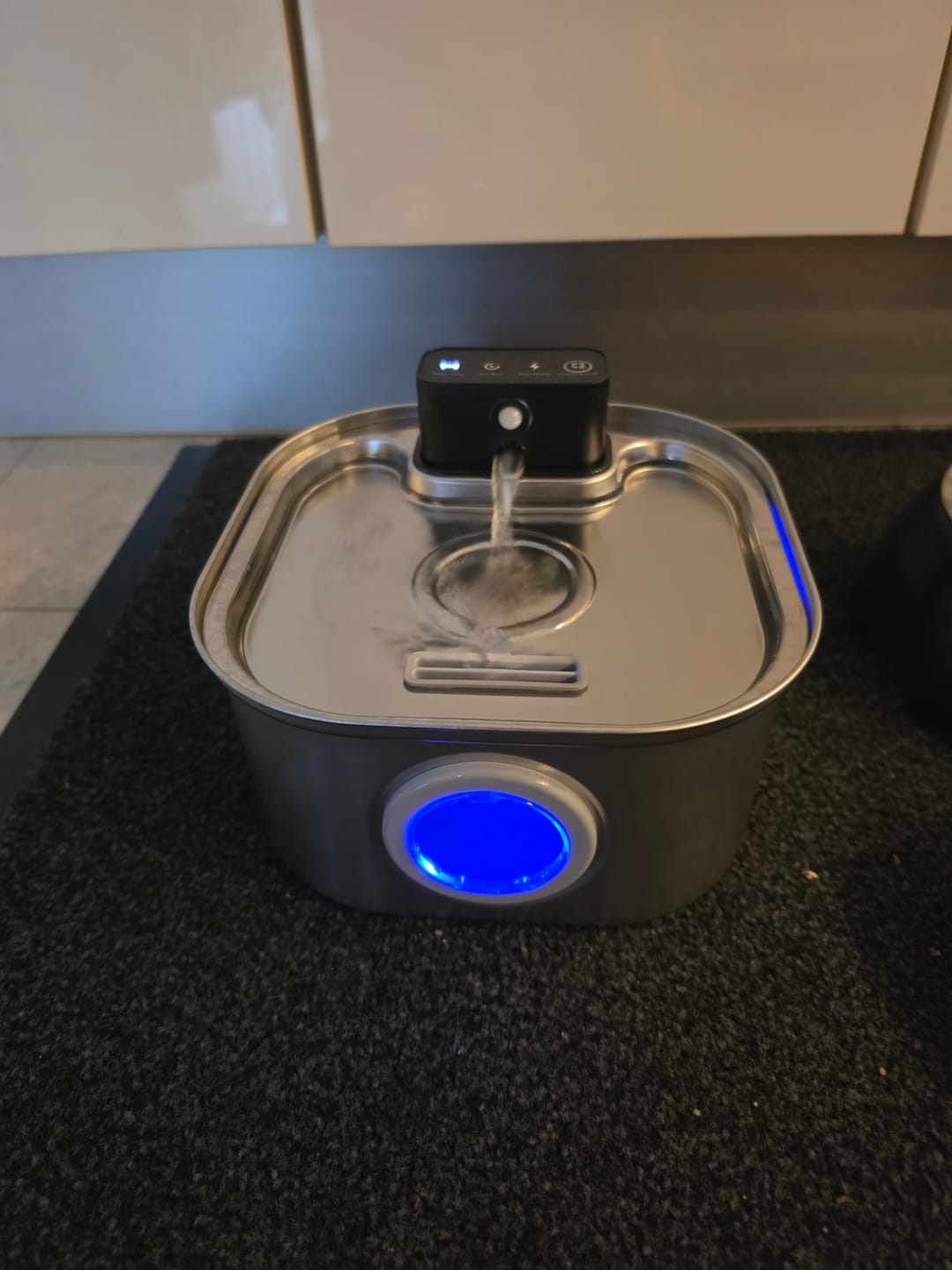 Customer photo review of PfotenBrunnen™ - Katzenwasserspender