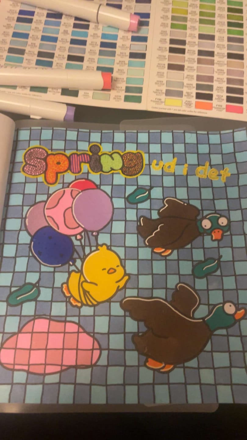 Customer photo review of Ohuhu Honolulu 320 Colors Dual Tips Alcohol Art Markers (New Color Codes)