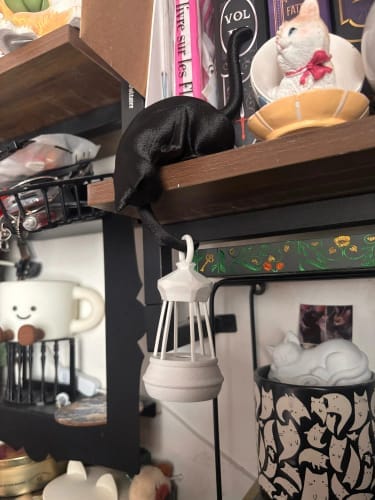 Customer photo review of Paws For Lores™ | Bookshelf Cat Lantern