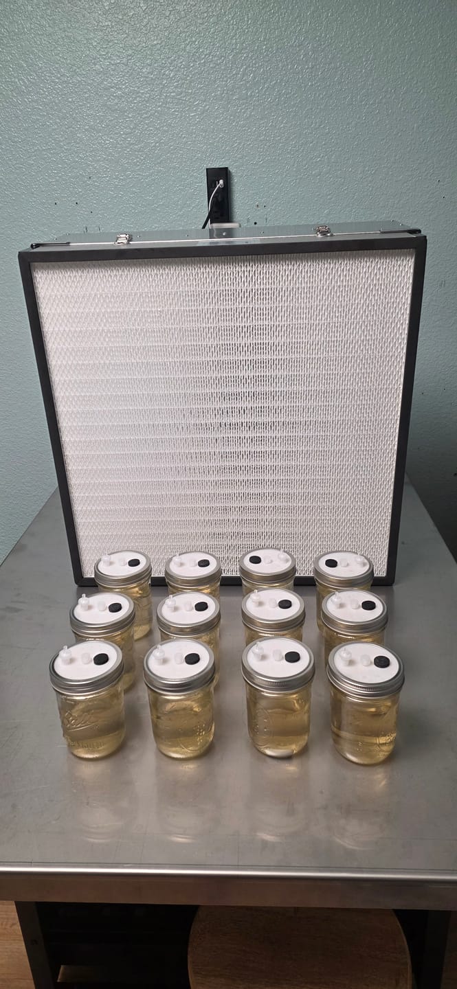 Customer photo review of Myco Lid Pro™ – Injection Molded Wide-Mouth Mason Jar Lid for Liquid Culture Sampling